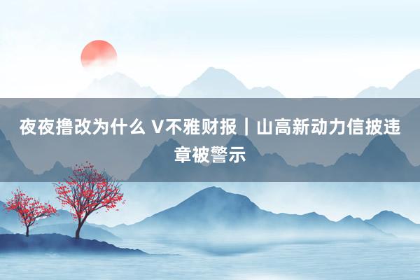 夜夜撸改为什么 V不雅财报｜山高新动力信披违章被警示