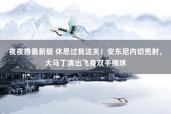 夜夜撸最新版 休思过我这关！安东尼内切兜射，大马丁演出飞身双手摘球