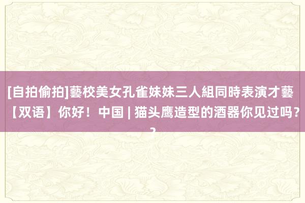 [自拍偷拍]藝校美女孔雀妹妹三人組同時表演才藝 【双语】你好！中国 | 猫头鹰造型的酒器你见过吗？