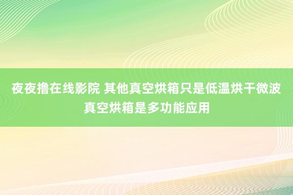 夜夜撸在线影院 其他真空烘箱只是低温烘干微波真空烘箱是多功能应用