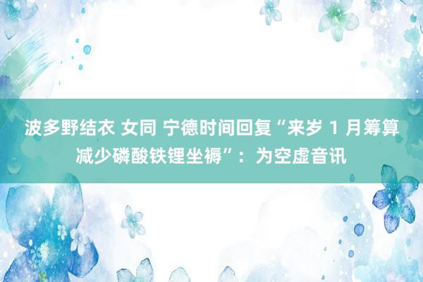波多野结衣 女同 宁德时间回复“来岁 1 月筹算减少磷酸铁锂坐褥”：为空虚音讯