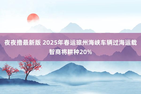 夜夜撸最新版 2025年春运琼州海峡车辆过海运载智商将耕种20%