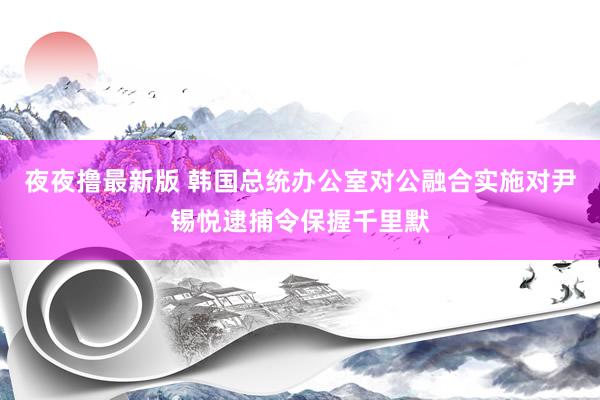 夜夜撸最新版 韩国总统办公室对公融合实施对尹锡悦逮捕令保握千里默