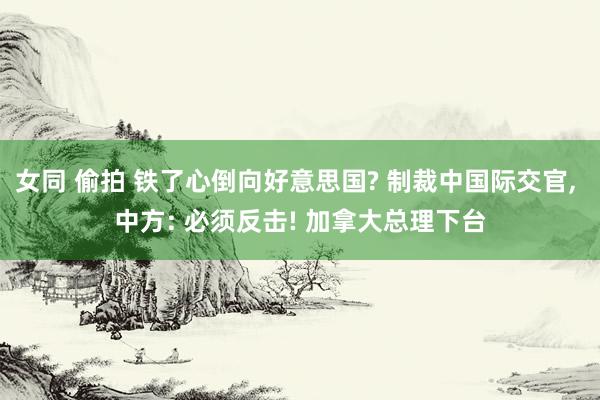 女同 偷拍 铁了心倒向好意思国? 制裁中国际交官, 中方: 必须反击! 加拿大总理下台