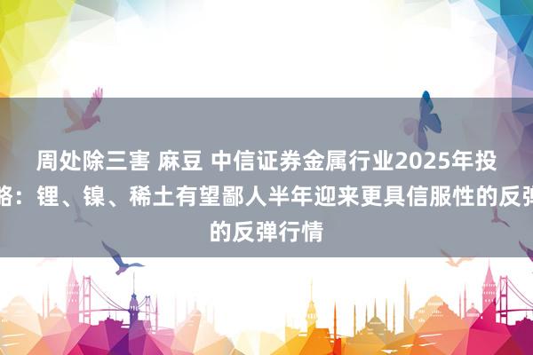 周处除三害 麻豆 中信证券金属行业2025年投资策略：锂、镍、稀土有望鄙人半年迎来更具信服性的反弹行情