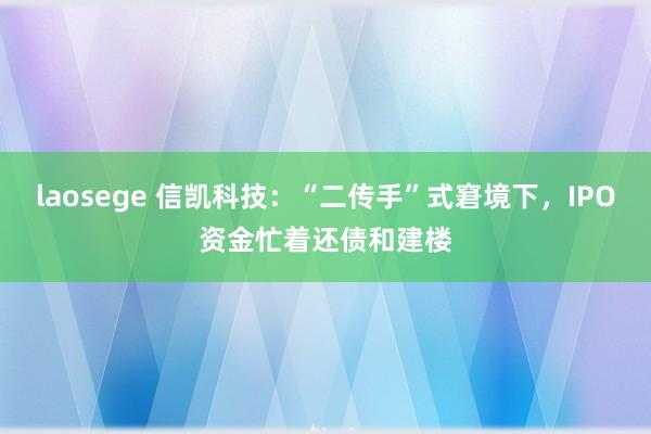 laosege 信凯科技：“二传手”式窘境下，IPO资金忙着还债和建楼