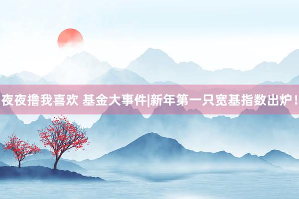夜夜撸我喜欢 基金大事件|新年第一只宽基指数出炉！