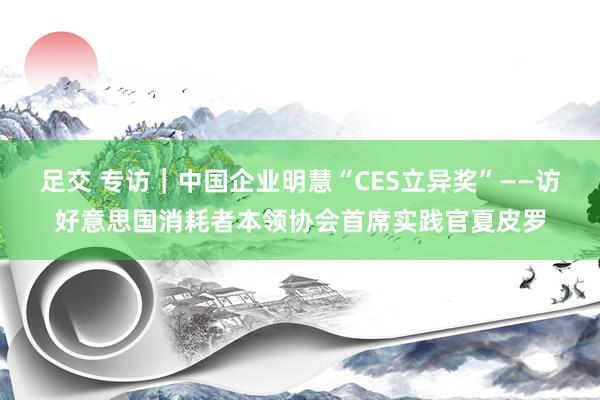足交 专访｜中国企业明慧“CES立异奖”——访好意思国消耗者本领协会首席实践官夏皮罗