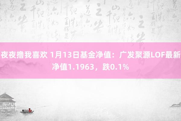 夜夜撸我喜欢 1月13日基金净值：广发聚源LOF最新净值1.1963，跌0.1%