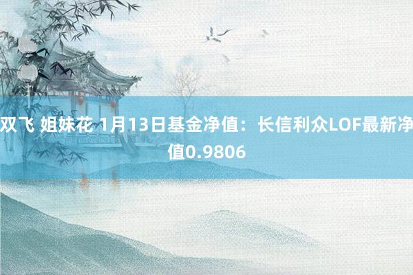 双飞 姐妹花 1月13日基金净值：长信利众LOF最新净值0.9806