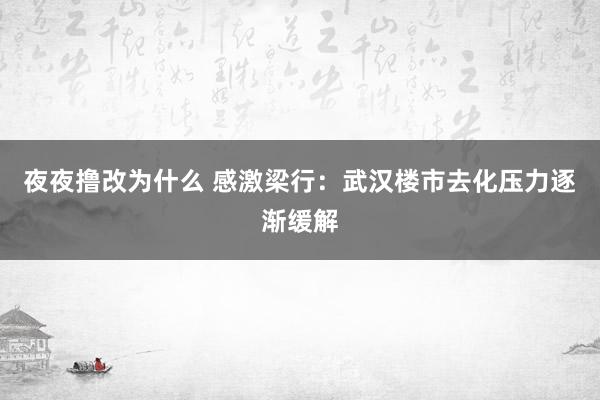 夜夜撸改为什么 感激梁行：武汉楼市去化压力逐渐缓解