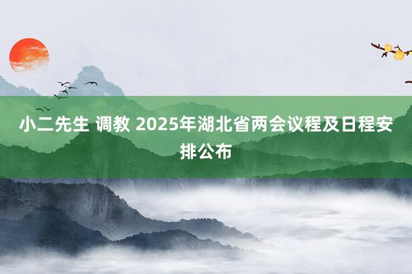 小二先生 调教 2025年湖北省两会议程及日程安排公布