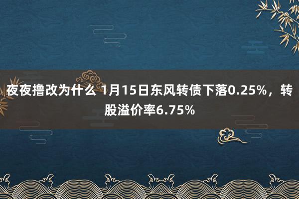 夜夜撸改为什么 1月15日东风转债下落0.25%，转股溢价率6.75%