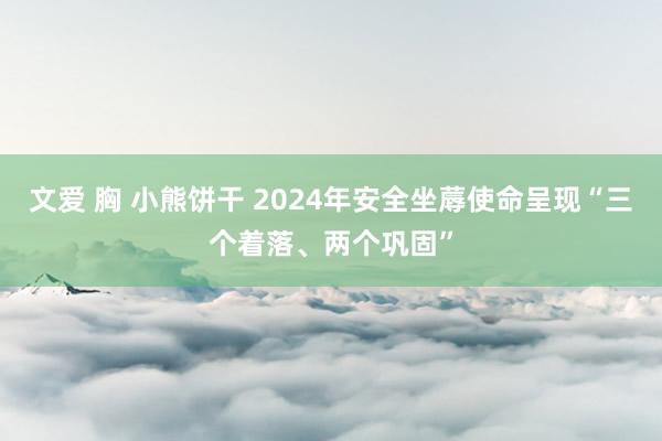 文爱 胸 小熊饼干 2024年安全坐蓐使命呈现“三个着落、两个巩固”