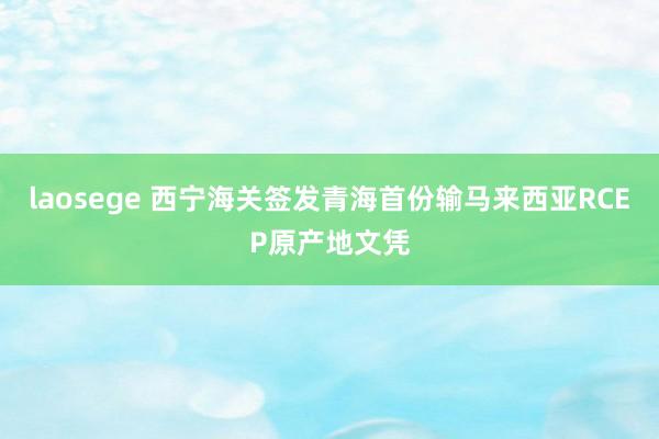 laosege 西宁海关签发青海首份输马来西亚RCEP原产地文凭