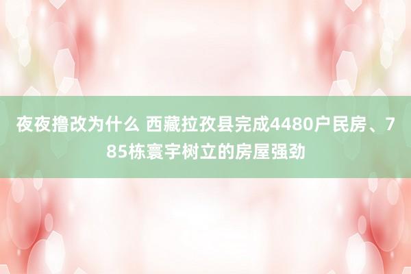 夜夜撸改为什么 西藏拉孜县完成4480户民房、785栋寰宇树立的房屋强劲