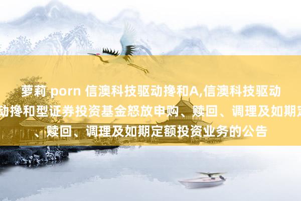 萝莉 porn 信澳科技驱动搀和A,信澳科技驱动搀和C: 信澳科技驱动搀和型证券投资基金怒放申购、赎回、调理及如期定额投资业务的公告