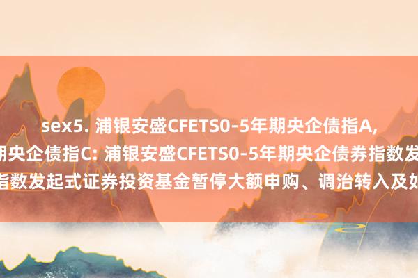 sex5. 浦银安盛CFETS0-5年期央企债指A,浦银安盛CFETS0-5年期央企债指C: 浦银安盛CFETS0-5年期央企债券指数发起式证券投资基金暂停大额申购、调治转入及如期定额投资业务的公告