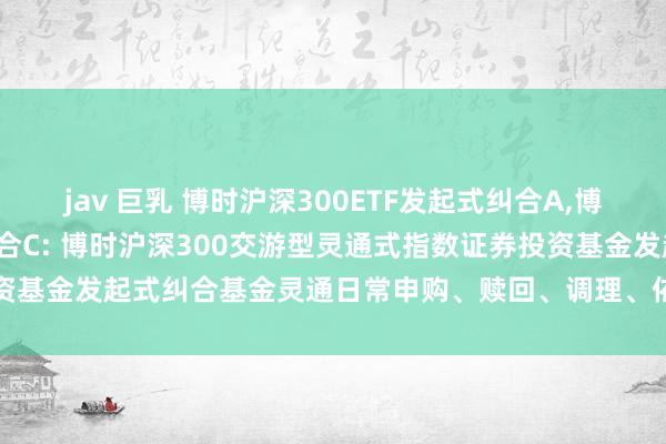 jav 巨乳 博时沪深300ETF发起式纠合A,博时沪深300ETF发起式纠合C: 博时沪深300交游型灵通式指数证券投资基金发起式纠合基金灵通日常申购、赎回、调理、依期定额投资业务的公告