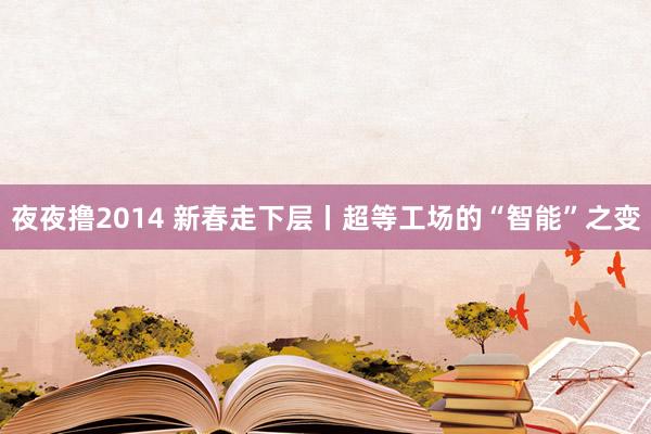 夜夜撸2014 新春走下层丨超等工场的“智能”之变