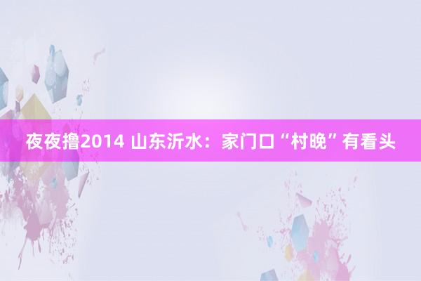夜夜撸2014 山东沂水：家门口“村晚”有看头