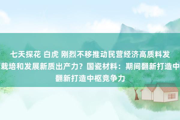 七天探花 白虎 刚烈不移推动民营经济高质料发展｜如何栽培和发展新质出产力？国瓷材料：期间翻新打造中枢竞争力