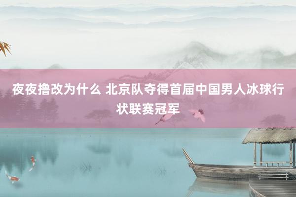 夜夜撸改为什么 北京队夺得首届中国男人冰球行状联赛冠军