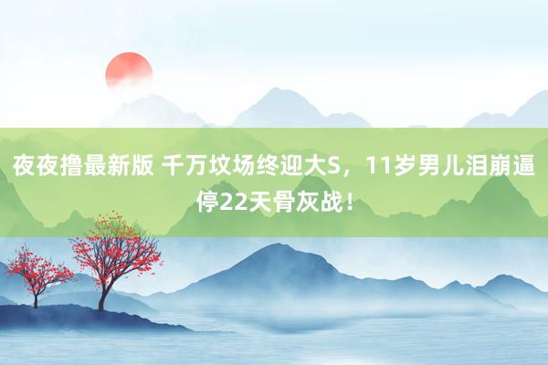 夜夜撸最新版 千万坟场终迎大S，11岁男儿泪崩逼停22天骨灰战！