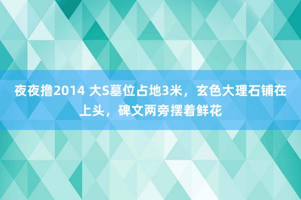 夜夜撸2014 大S墓位占地3米，玄色大理石铺在上头，碑文两旁摆着鲜花