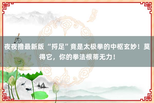 夜夜撸最新版 “捋足”竟是太极拳的中枢玄妙！莫得它，你的拳法根蒂无力！