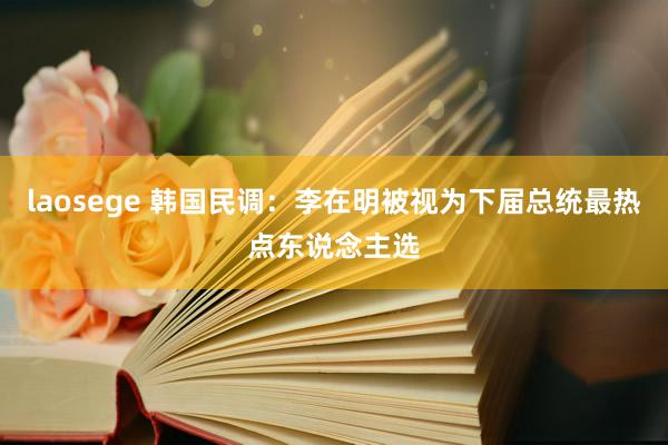 laosege 韩国民调：李在明被视为下届总统最热点东说念主选