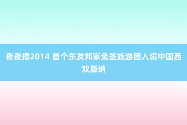 夜夜撸2014 首个东友邦家免签旅游团入境中国西双版纳