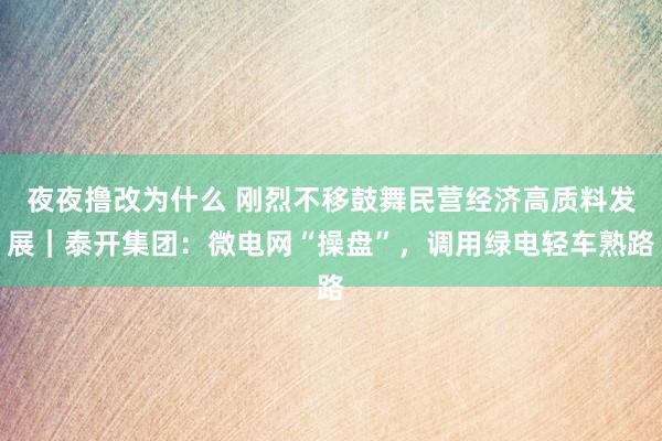 夜夜撸改为什么 刚烈不移鼓舞民营经济高质料发展｜泰开集团：微电网“操盘”，调用绿电轻车熟路