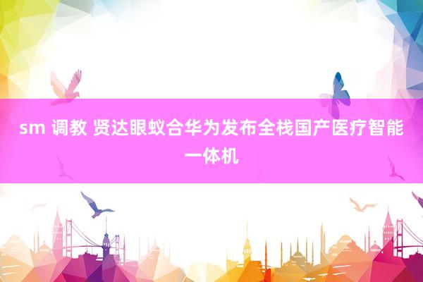 sm 调教 贤达眼蚁合华为发布全栈国产医疗智能一体机