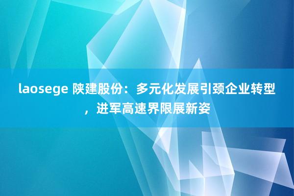 laosege 陕建股份：多元化发展引颈企业转型，进军高速界限展新姿