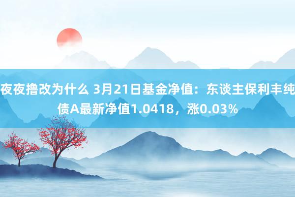 夜夜撸改为什么 3月21日基金净值：东谈主保利丰纯债A最新净值1.0418，涨0.03%