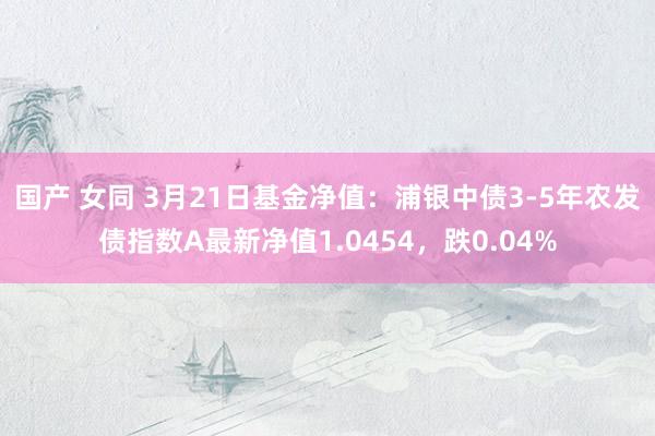 国产 女同 3月21日基金净值：浦银中债3-5年农发债指数A最新净值1.0454，跌0.04%