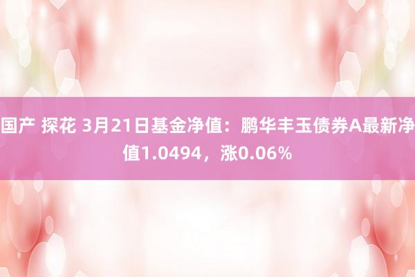 国产 探花 3月21日基金净值：鹏华丰玉债券A最新净值1.0494，涨0.06%