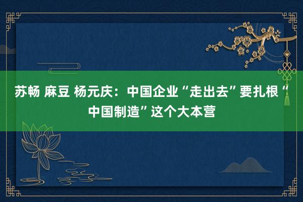 苏畅 麻豆 杨元庆：中国企业“走出去”要扎根“中国制造”这个大本营