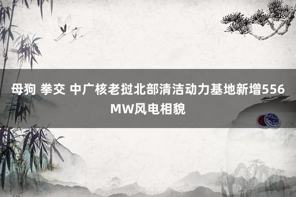 母狗 拳交 中广核老挝北部清洁动力基地新增556MW风电相貌