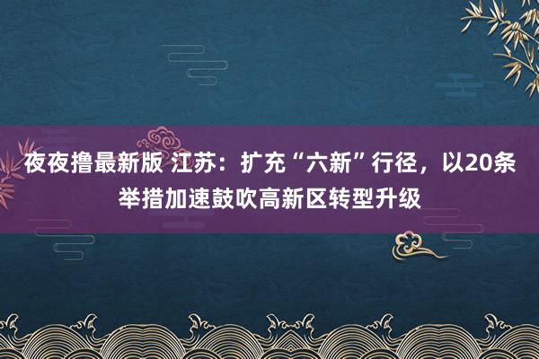 夜夜撸最新版 江苏：扩充“六新”行径，以20条举措加速鼓吹高新区转型升级