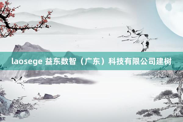 laosege 益东数智（广东）科技有限公司建树