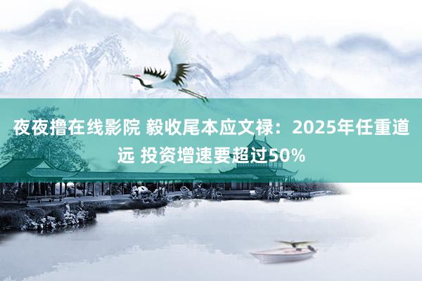 夜夜撸在线影院 毅收尾本应文禄：2025年任重道远 投资增速要超过50%