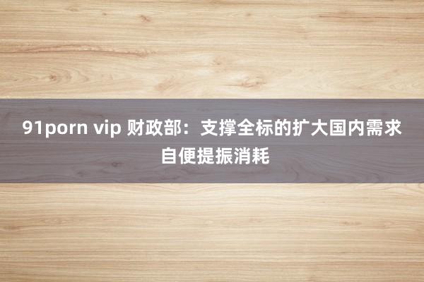 91porn vip 财政部：支撑全标的扩大国内需求 自便提振消耗