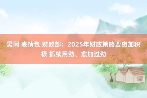 男同 表情包 财政部：2025年财政策略要愈加积极 抓续用劲、愈加过劲