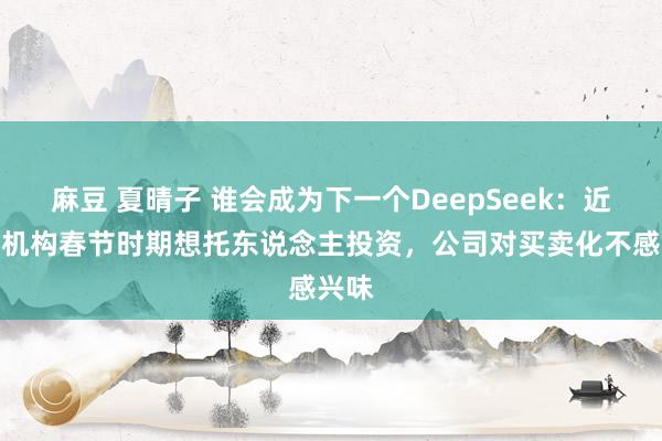 麻豆 夏晴子 谁会成为下一个DeepSeek：近百家机构春节时期想托东说念主投资，公司对买卖化不感兴味