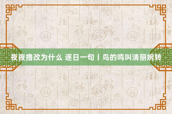 夜夜撸改为什么 逐日一句丨鸟的鸣叫清丽婉转