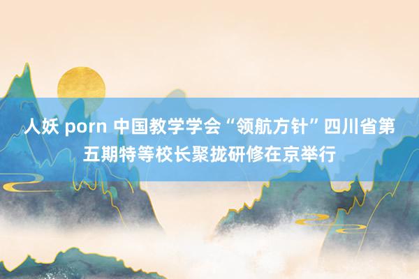 人妖 porn 中国教学学会“领航方针”四川省第五期特等校长聚拢研修在京举行
