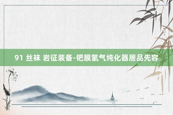 91 丝袜 岩征装备-钯膜氢气纯化器居品先容