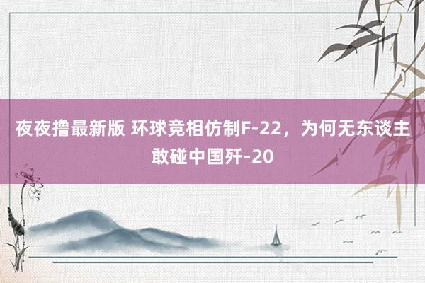 夜夜撸最新版 环球竞相仿制F-22，为何无东谈主敢碰中国歼-20